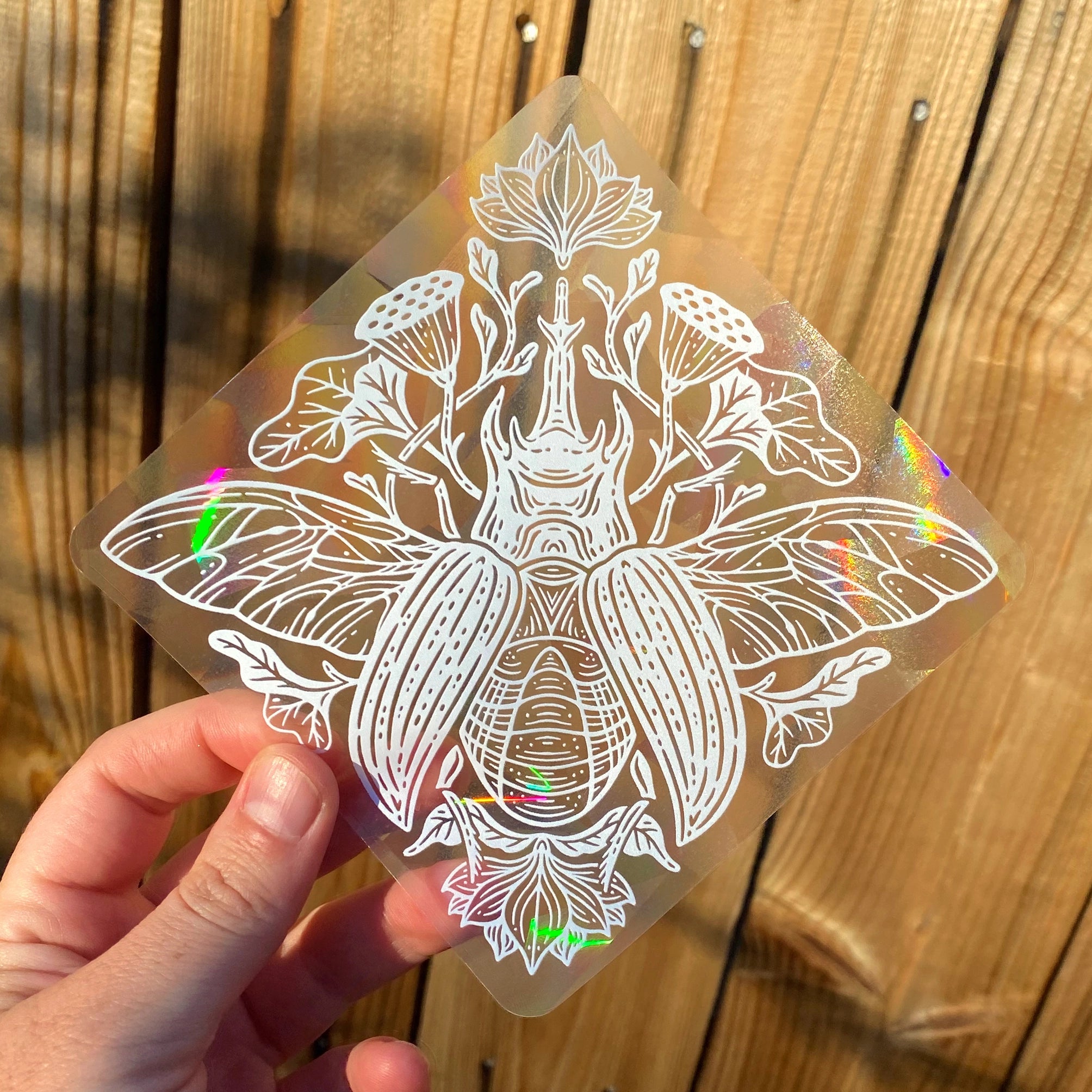 Kate O'Hara {RAINBOW SUNCATCHER}