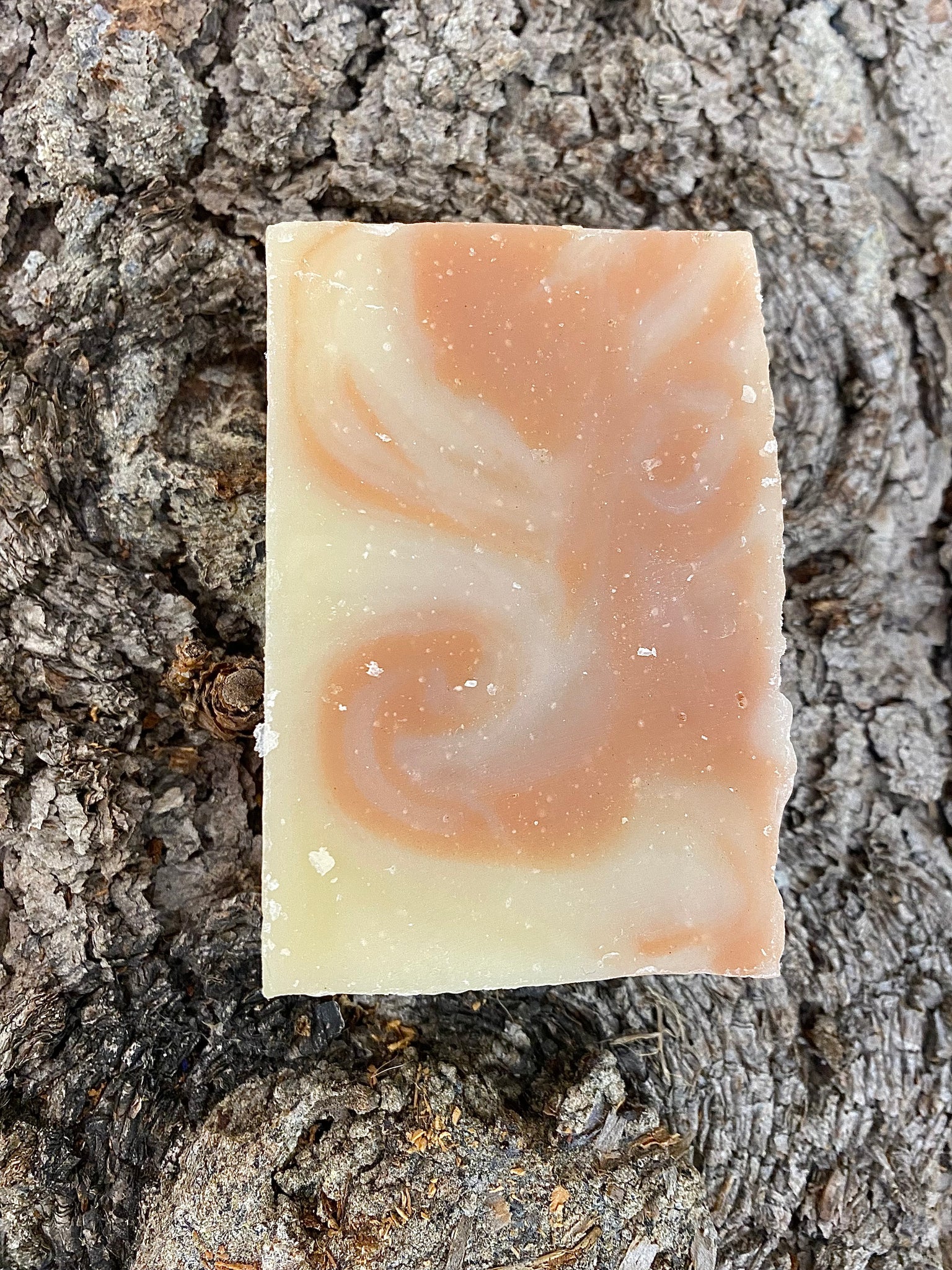 Alberta Rose