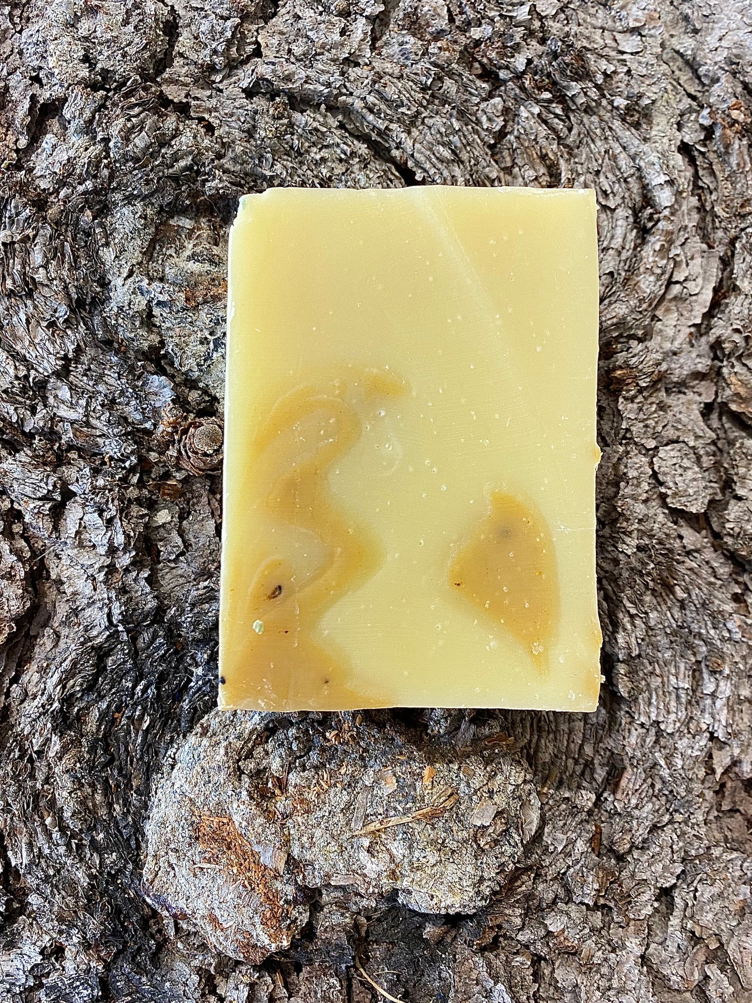 Bear's Paw Sea