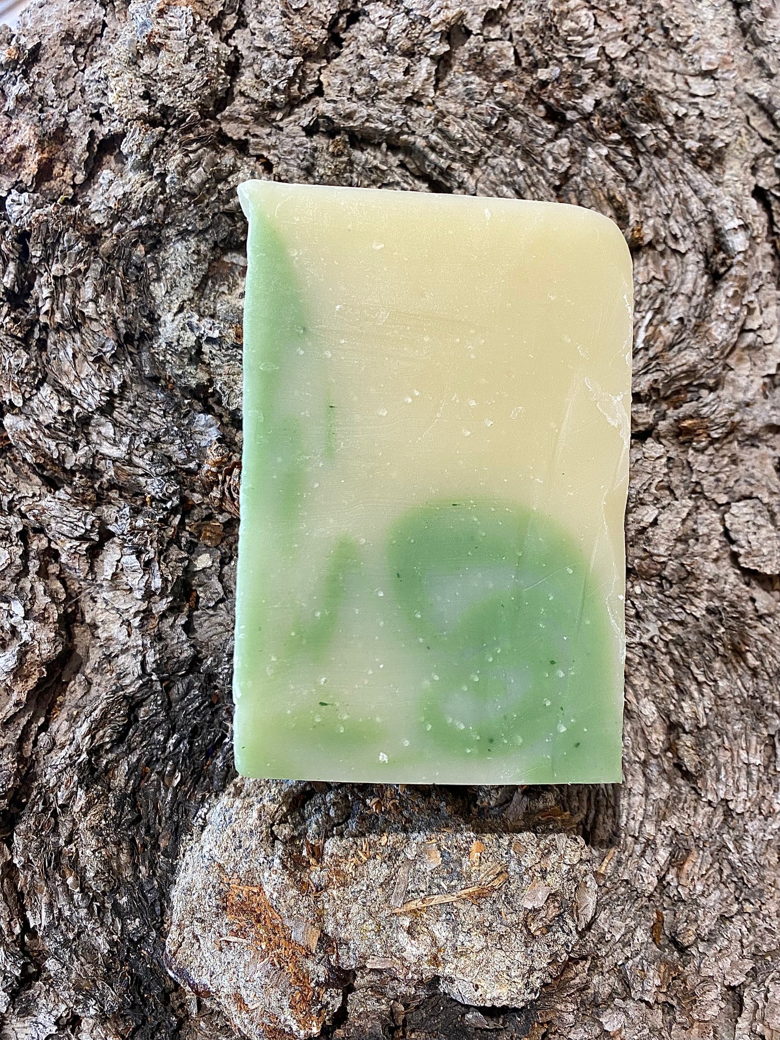 Northern Lights