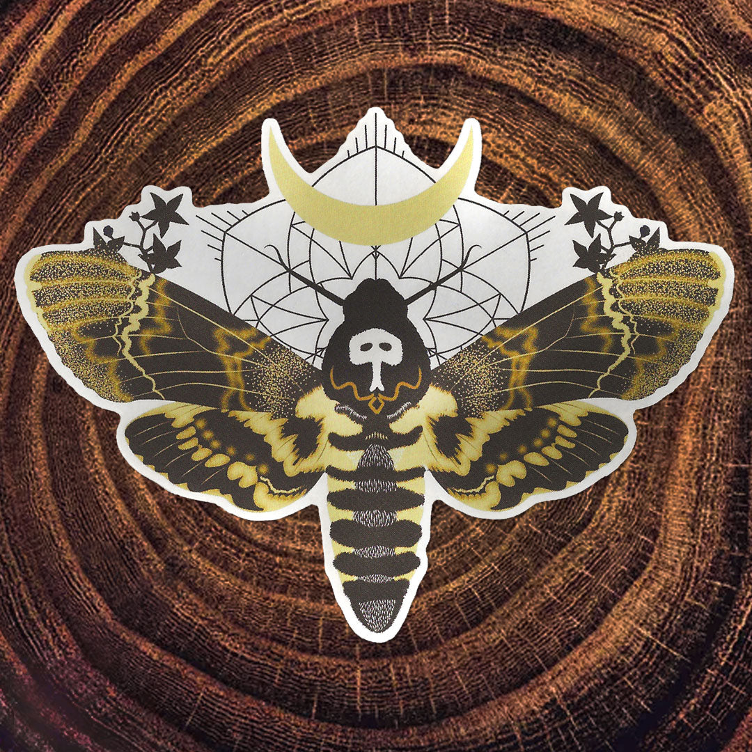 Little Gold Fox Designs {STICKER}