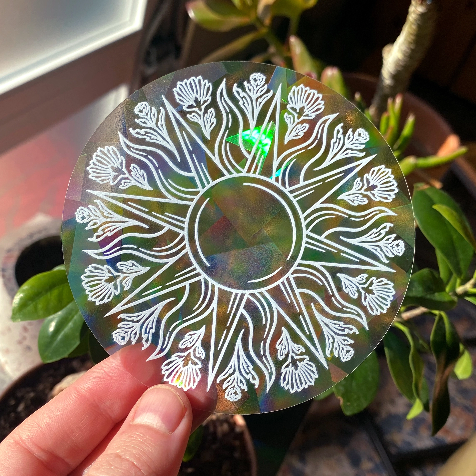 Kate O'Hara {RAINBOW SUNCATCHER}