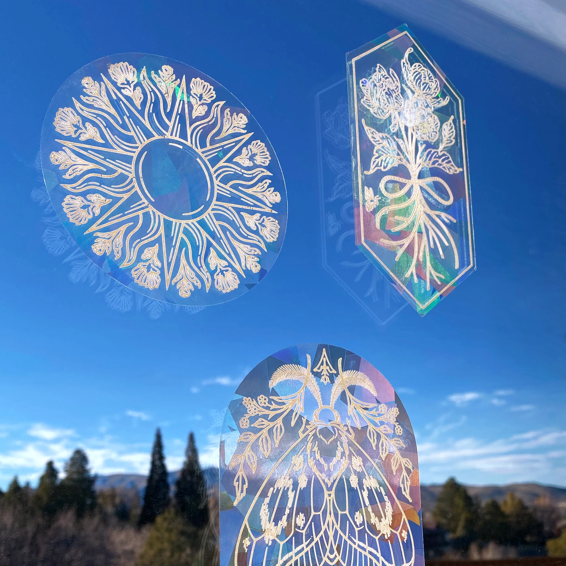 Kate O'Hara {RAINBOW SUNCATCHER}