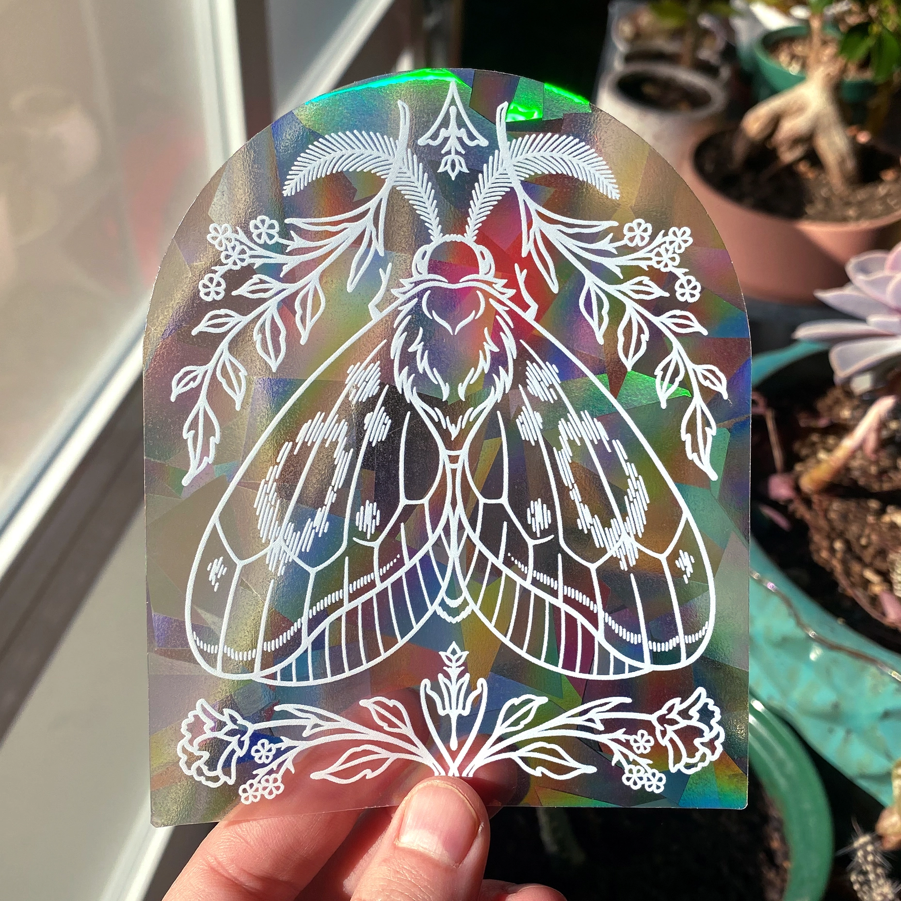Kate O'Hara {RAINBOW SUNCATCHER}