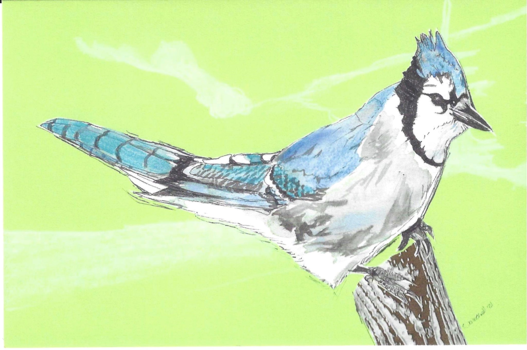 Corissa Spring Arts {CARDS}