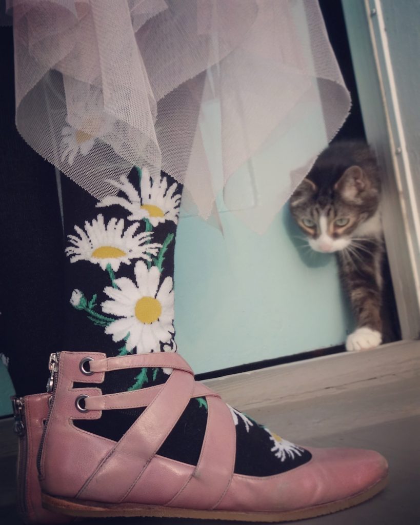 Modsocks {DAISIES} women's crew + knee high