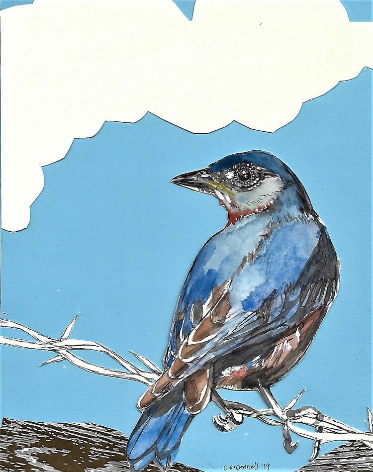 Corissa Spring Arts {CARDS}