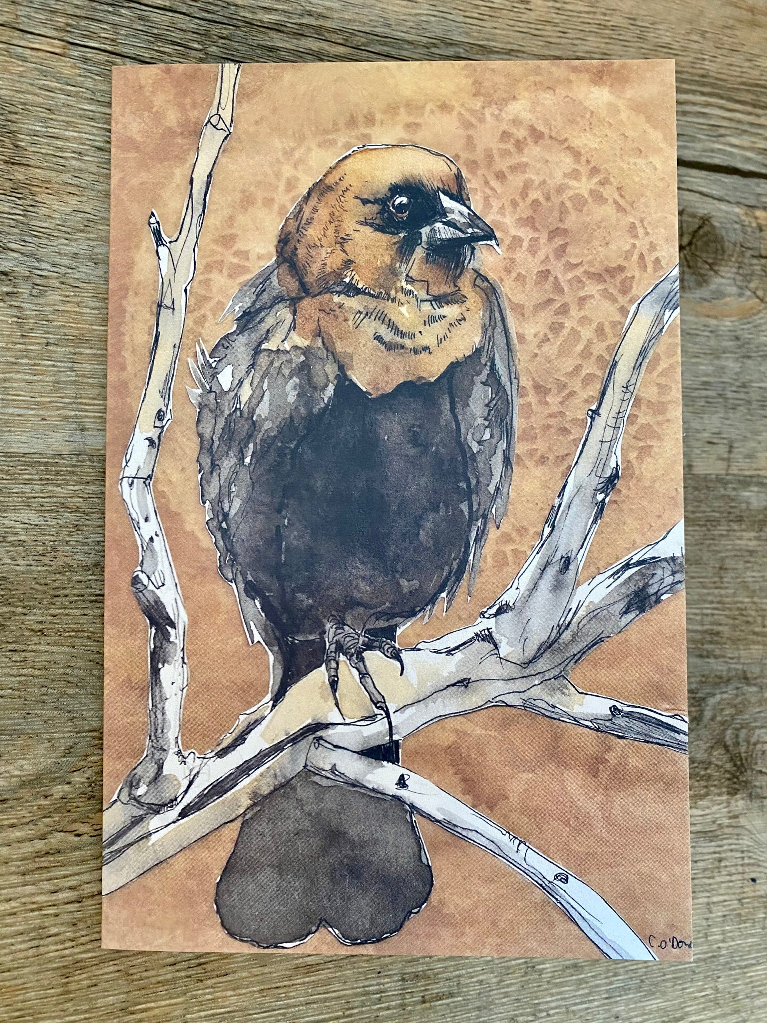 Corissa Spring Arts {CARDS}