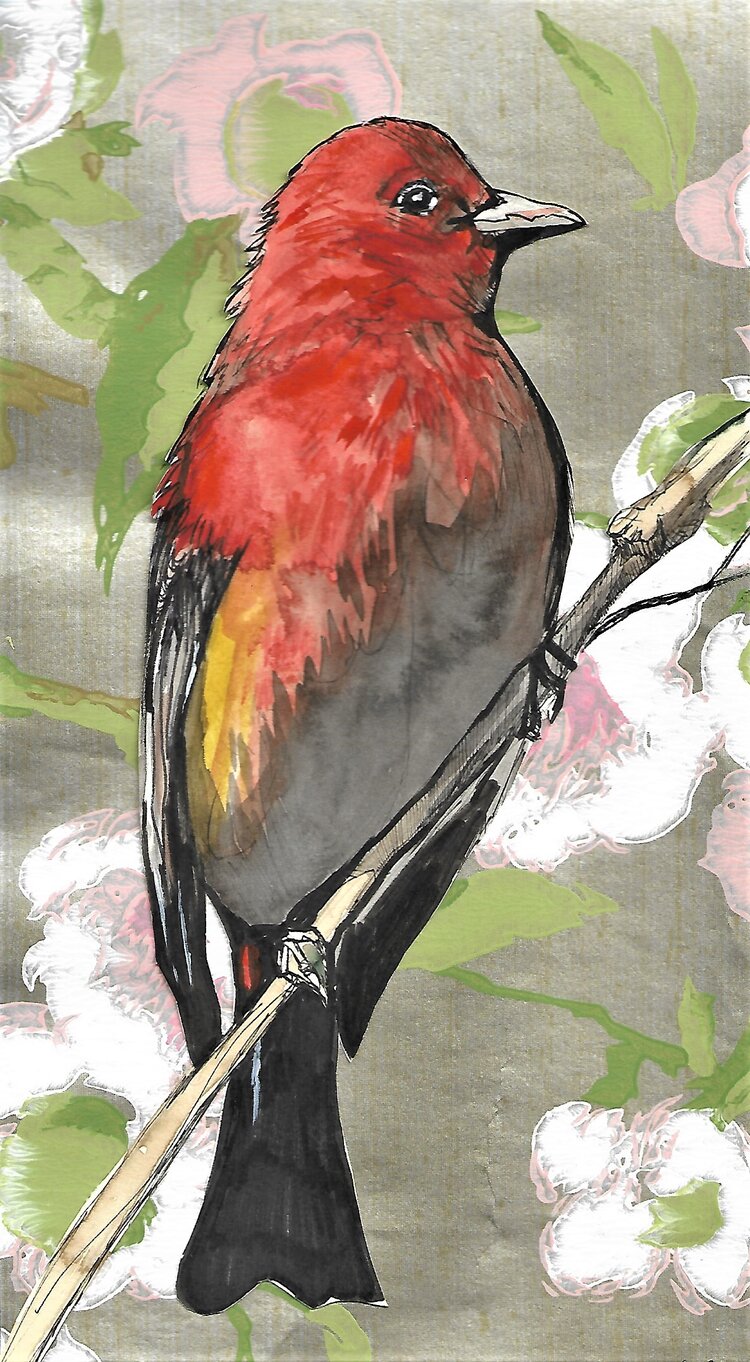 Corissa Spring Arts {CARDS}