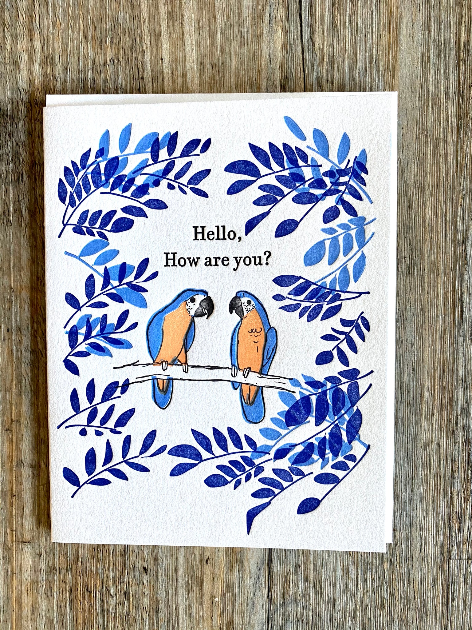 ilee papergoods {GET WELL/THINKING OF YOU}