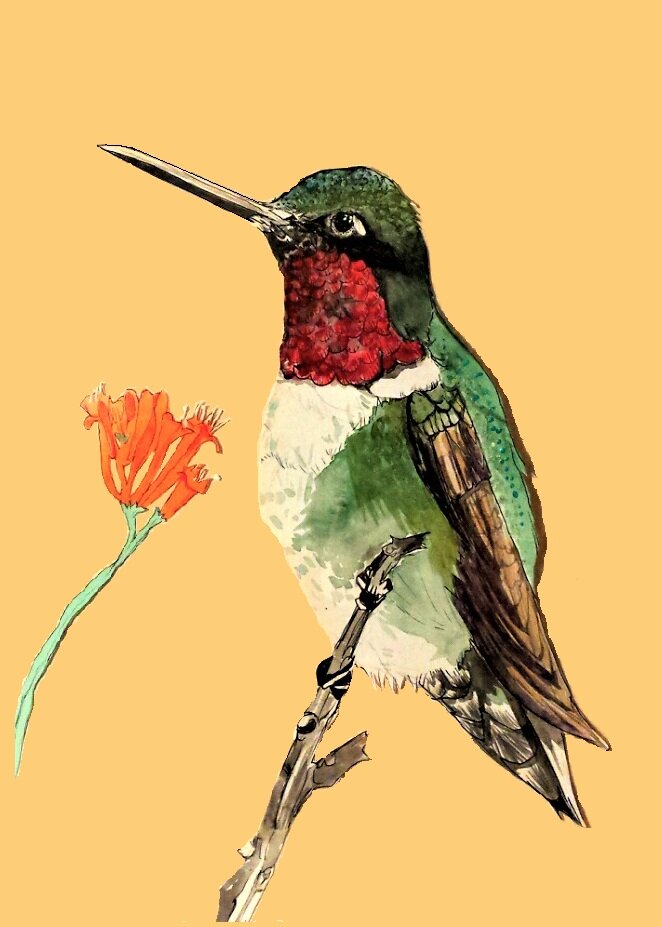 Corissa Spring Arts {CARDS}
