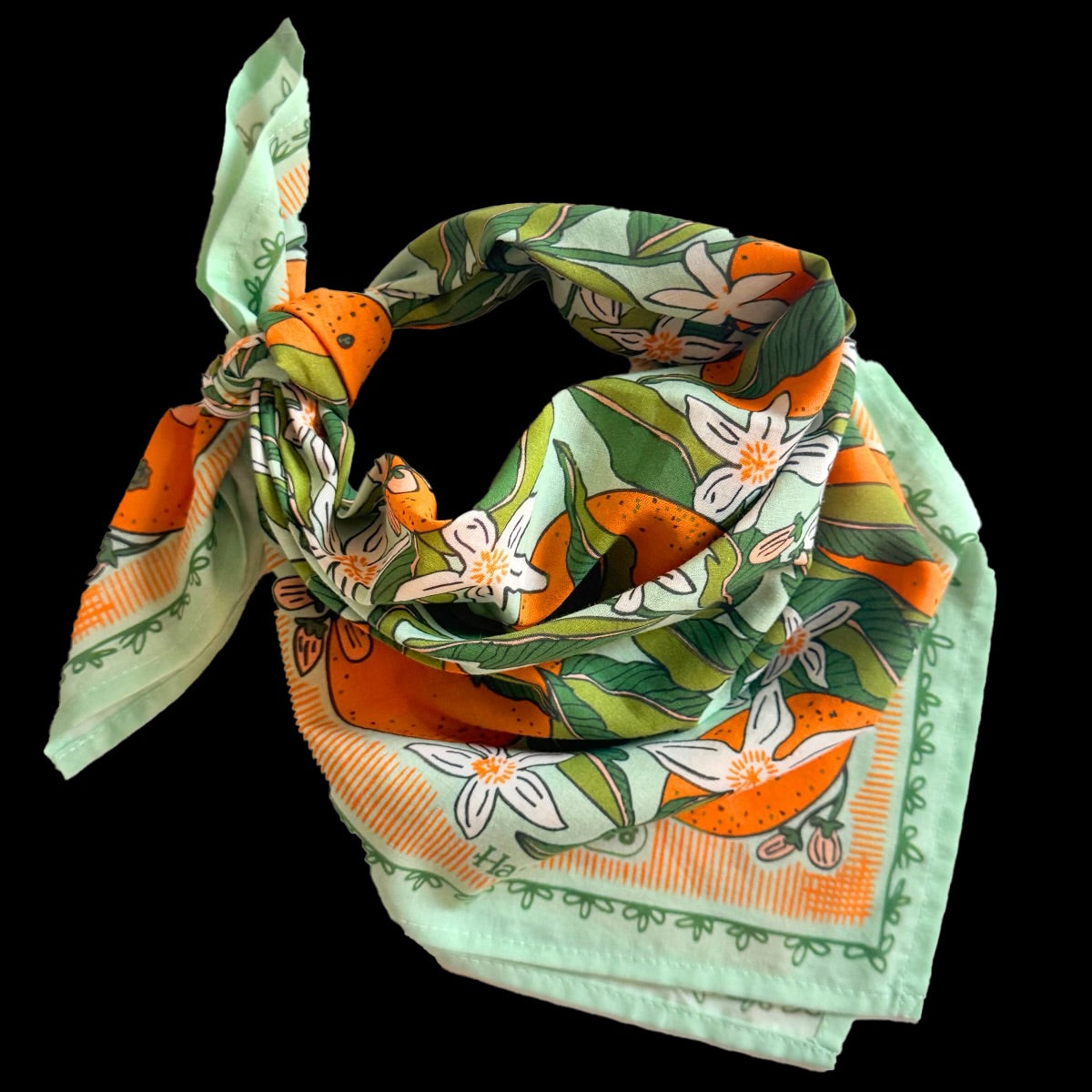 Handker Bandanas {Series 18: Traveler}