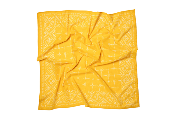 Handker Bandanas {WILD RAGS}