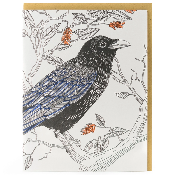 Porchlight Press {BIRDS}
