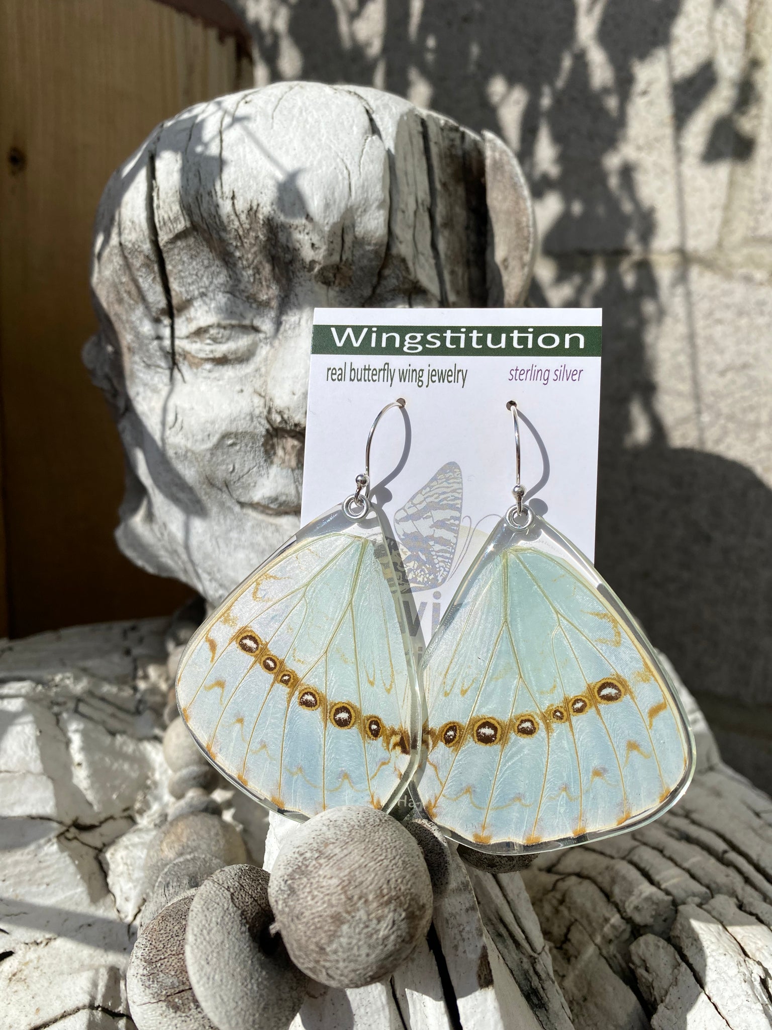 Real butterfly 2025 wing jewelry